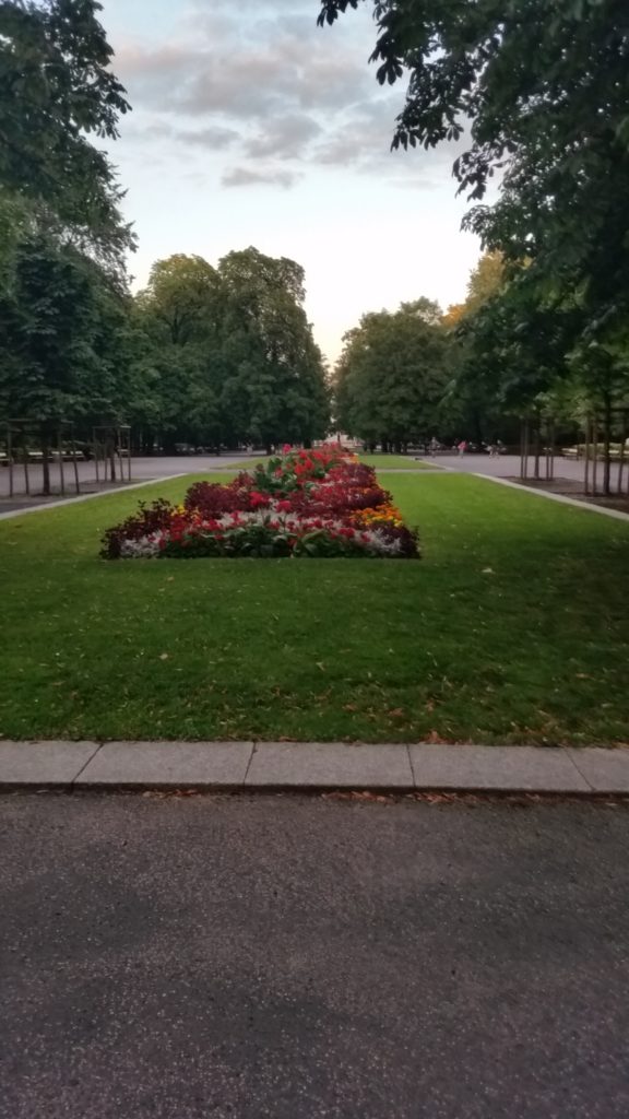 Park Saski w Warszawie-8