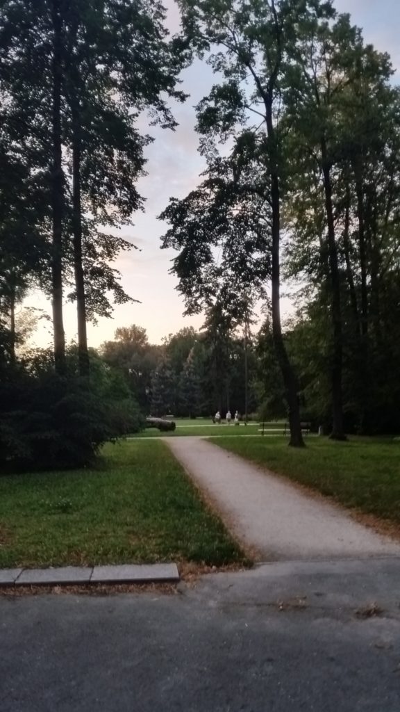 Park Saski w Warszawie-2